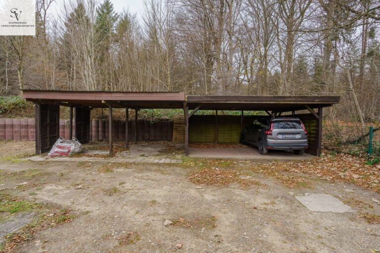 4143338 5RV54dv1MiANzYQkopv6F7tb Bild007