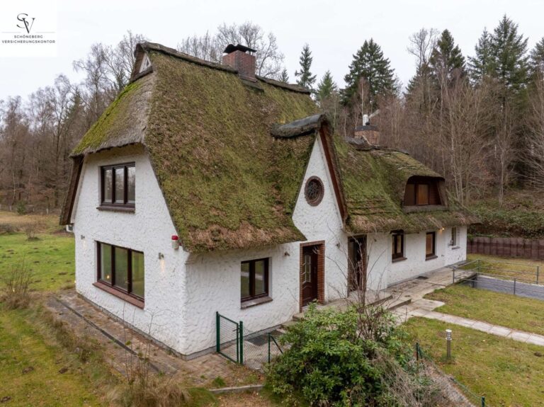 4143338 KR6iZeSequEMV86BMmehY89D Bild056