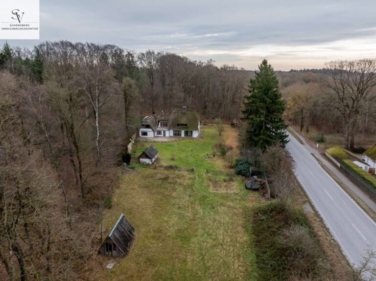 4143338 TKyRrXhc5DhxWex8DmamKdYx Bild041