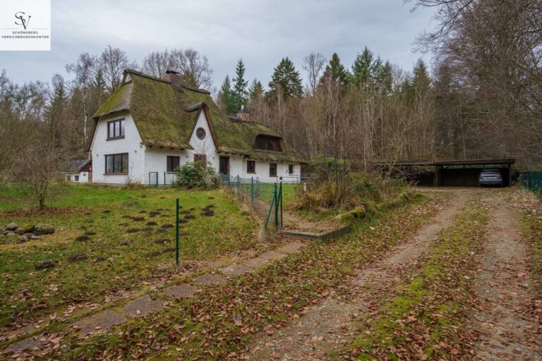 4143338 WmLB2pErQMWWqaxSsVEXdvsu Bild003